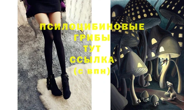 СК Алзамай