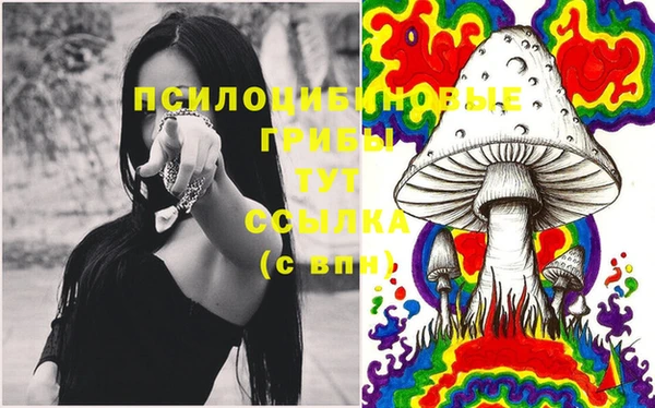 2c-b Алексеевка