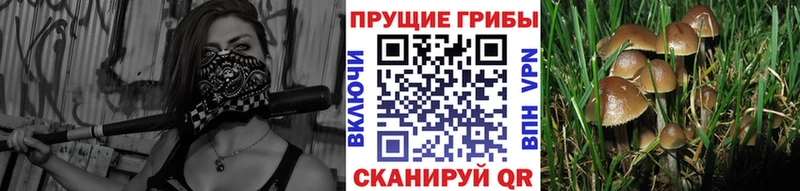 Галлюциногенные грибы Magic Shrooms  mega онион  Ипатово 